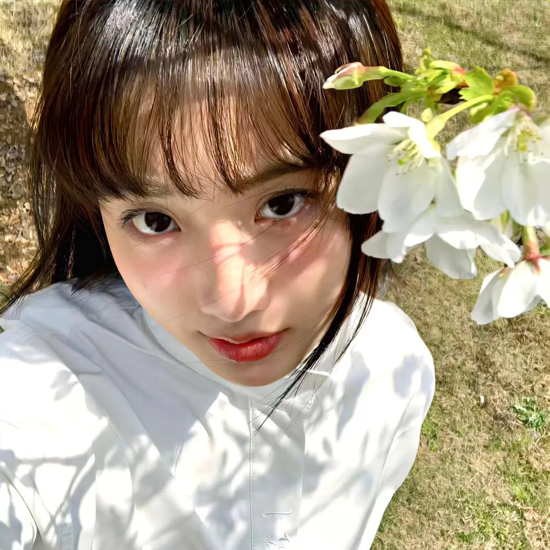 丛林的鱼2:剧场版
